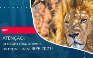 Ja Estao Disponiveis As Regras Para Irpf 2021 Notícias E Artigos Contábeis Em Minas Gerais | Contabilidade Araujo - Contabilidade em Januária - MG | Andrada Araujo Contabilidade