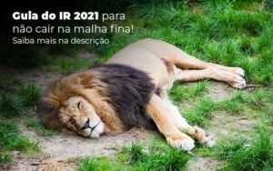 Guia Ir 2021 Para Nao Cair Na Malha Fina Saiba Mais Na Descricao Post 1 Notícias E Artigos Contábeis Em Minas Gerais | Contabilidade Araujo - Contabilidade em Januária - MG | Andrada Araujo Contabilidade