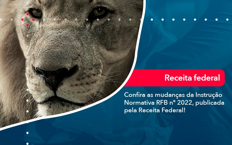 Confira As Mudancas Da Instrucao Normativa Rfb N 2022 Publicada Pela Receita Federal - Contabilidade em Januária - MG | Andrada Araujo Contabilidade